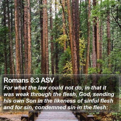Romans 8:3 ASV Bible Verse Image