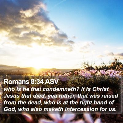 Romans 8:34 ASV Bible Verse Image