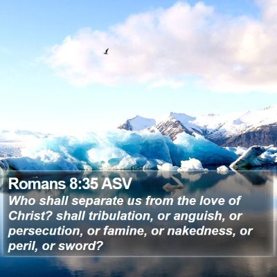 Romans 8:35 ASV Bible Verse Image
