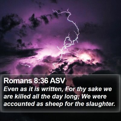 Romans 8:36 ASV Bible Verse Image
