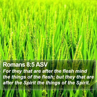 Romans 8:5 ASV Bible Verse Image