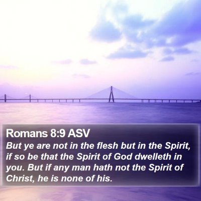 Romans 8:9 ASV Bible Verse Image