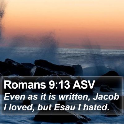 Romans 9:13 ASV Bible Verse Image