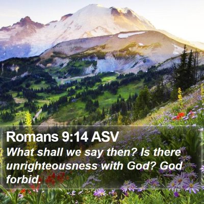 Romans 9:14 ASV Bible Verse Image