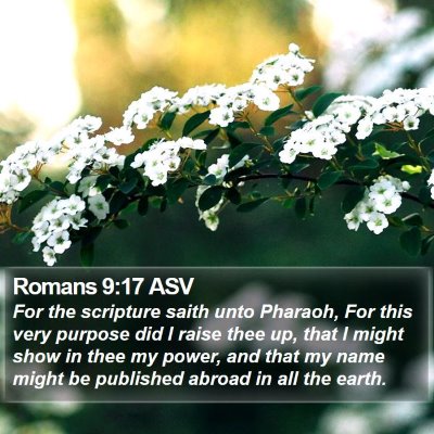 Romans 9:17 ASV Bible Verse Image