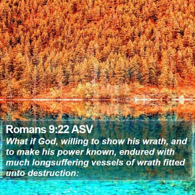 Romans 9:22 ASV Bible Verse Image