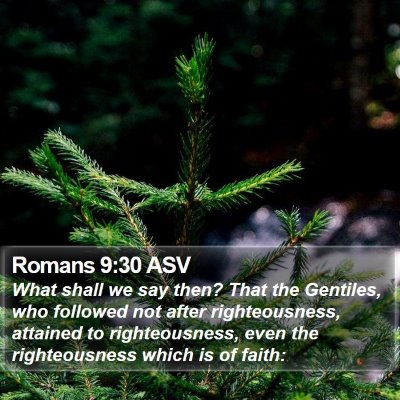 Romans 9:30 ASV Bible Verse Image