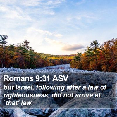 Romans 9:31 ASV Bible Verse Image