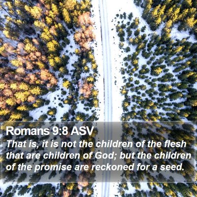 Romans 9:8 ASV Bible Verse Image
