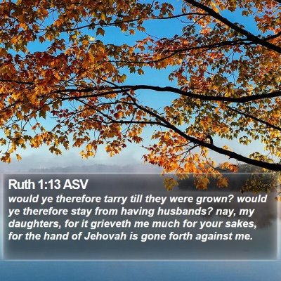Ruth 1:13 ASV Bible Verse Image