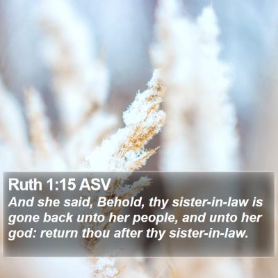 Ruth 1:15 ASV Bible Verse Image