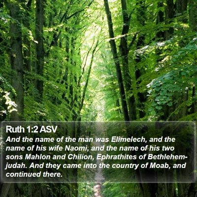 Ruth 1:2 ASV Bible Verse Image