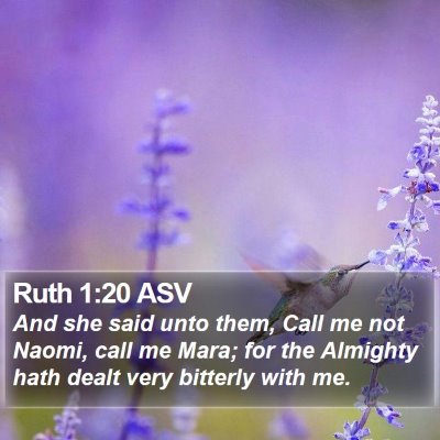 Ruth 1:20 ASV Bible Verse Image