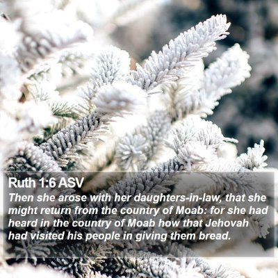 Ruth 1:6 ASV Bible Verse Image