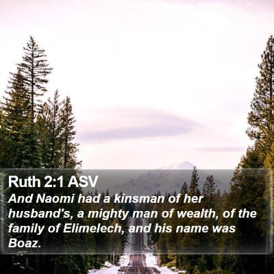 Ruth 2:1 ASV Bible Verse Image