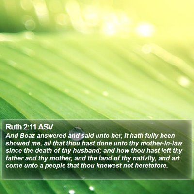 Ruth 2:11 ASV Bible Verse Image