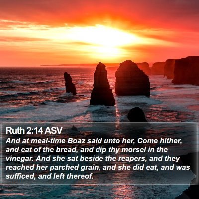 Ruth 2:14 ASV Bible Verse Image