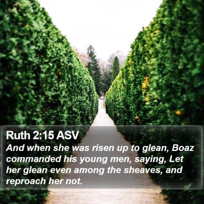 Ruth 2:15 ASV Bible Verse Image