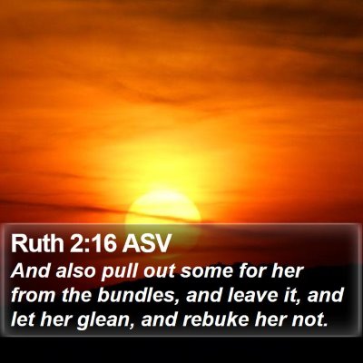 Ruth 2:16 ASV Bible Verse Image