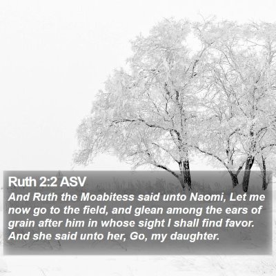 Ruth 2:2 ASV Bible Verse Image