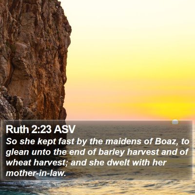 Ruth 2:23 ASV Bible Verse Image