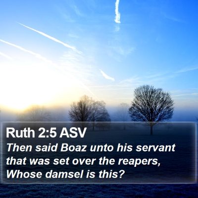 Ruth 2:5 ASV Bible Verse Image