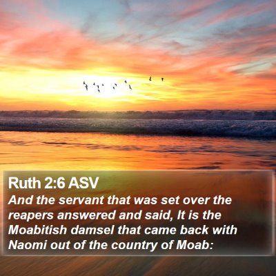 Ruth 2:6 ASV Bible Verse Image