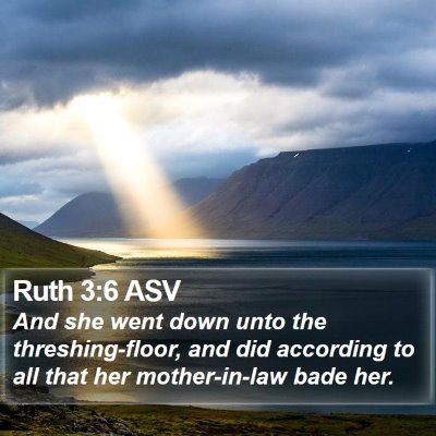Ruth 3:6 ASV Bible Verse Image