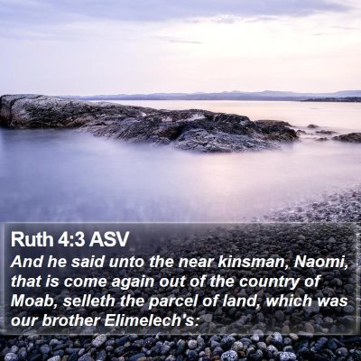 Ruth 4:3 ASV Bible Verse Image