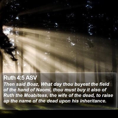 Ruth 4:5 ASV Bible Verse Image
