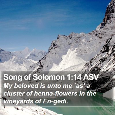 Song of Solomon 1:14 ASV Bible Verse Image