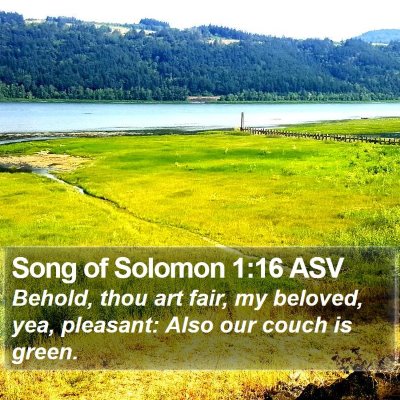 Song of Solomon 1:16 ASV Bible Verse Image