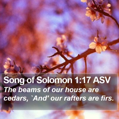 Song of Solomon 1:17 ASV Bible Verse Image