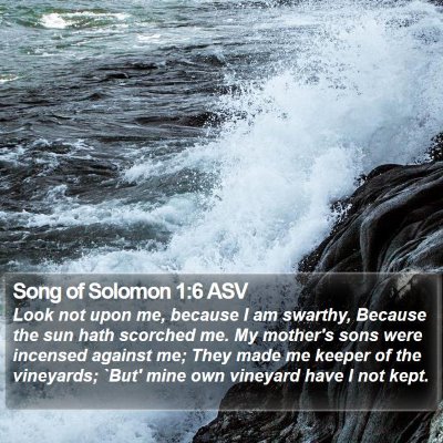 Song of Solomon 1:6 ASV Bible Verse Image