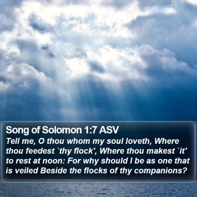 Song of Solomon 1:7 ASV Bible Verse Image