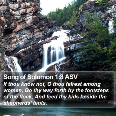 Song of Solomon 1:8 ASV Bible Verse Image