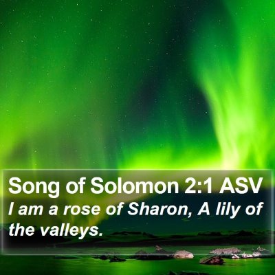 Song of Solomon 2:1 ASV Bible Verse Image