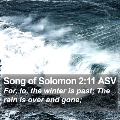 Song of Solomon 2:11 ASV Bible Verse Image