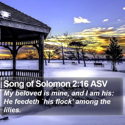 Song of Solomon 2:16 ASV Bible Verse Image