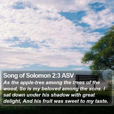 Song of Solomon 2:3 ASV Bible Verse Image