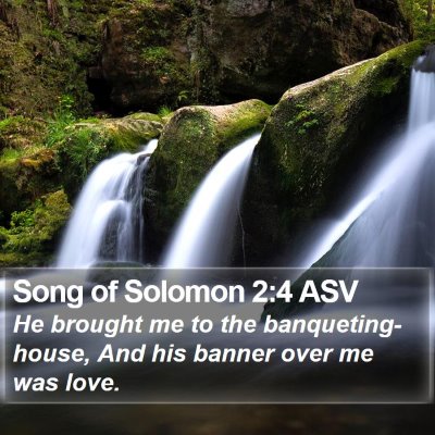 Song of Solomon 2:4 ASV Bible Verse Image