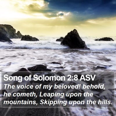Song of Solomon 2:8 ASV Bible Verse Image