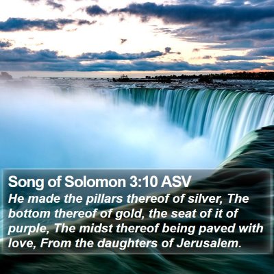Song of Solomon 3:10 ASV Bible Verse Image