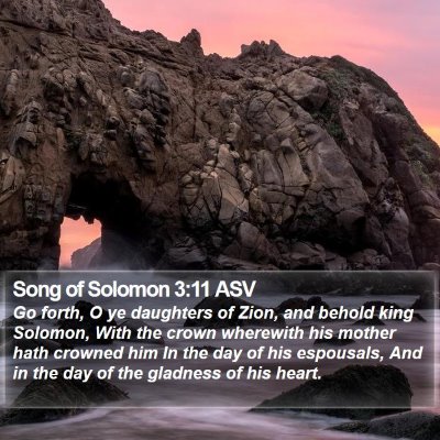 Song of Solomon 3:11 ASV Bible Verse Image