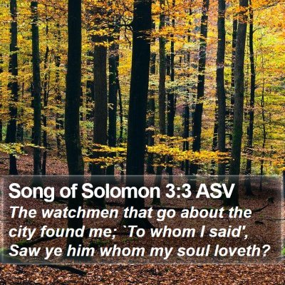 Song of Solomon 3:3 ASV Bible Verse Image