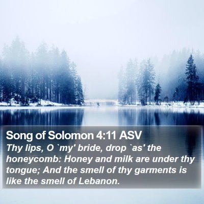 Song of Solomon 4:11 ASV Bible Verse Image