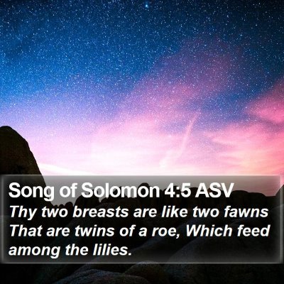 Song of Solomon 4:5 ASV Bible Verse Image