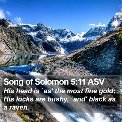 Song of Solomon 5:11 ASV Bible Verse Image
