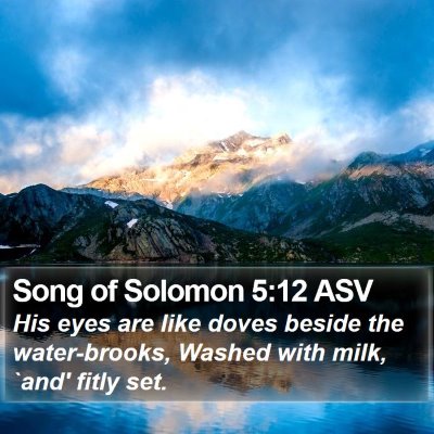 Song of Solomon 5:12 ASV Bible Verse Image