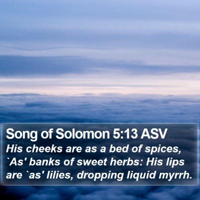 Song of Solomon 5:13 ASV Bible Verse Image